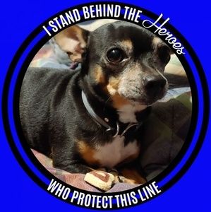 Meet your Posher, Joey